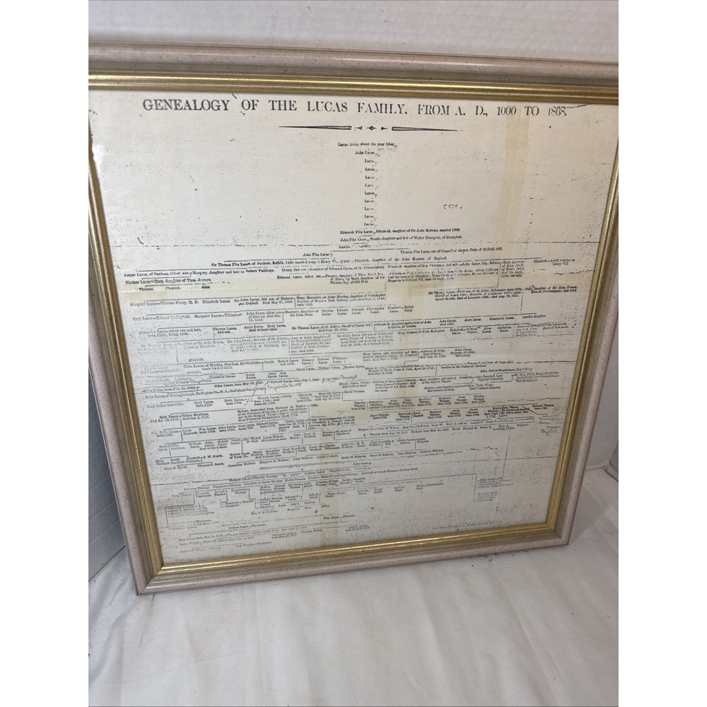 Lucas Family Tree 1000 to 1868 J W Bell NY Print Rare Ancestry Genealogy Framed